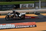 DSC01315.jpg
82.27 KB 
