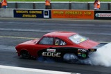 DSC01362.jpg
68.28 KB 
