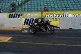 DSC02237.jpg
79.95 KB 
