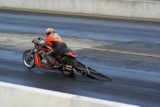 DSC09273.jpg
377.37 KB 
