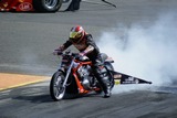 DSC09484.jpg
73.91 KB 
