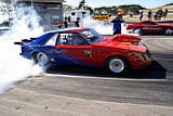 DSC01353.jpg
143.45 KB