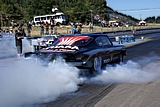 DSC01391.jpg
127.78 KB