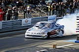 DSC09826.jpg
145.04 KB 
