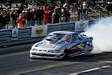 DSC09827.jpg
115.91 KB 
